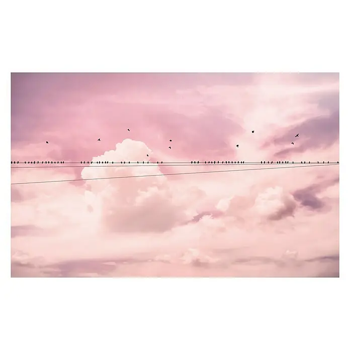 Komar Pure Fototapete Cloud Wire - 4 -tlg., B x H: 400 x 250 cm, Vlies - Eine malerische Szene mit Vögeln auf einer Stromleitung vor einem rosa bewölkten Himmel, die Ruhe und Frieden ausstrahlt.