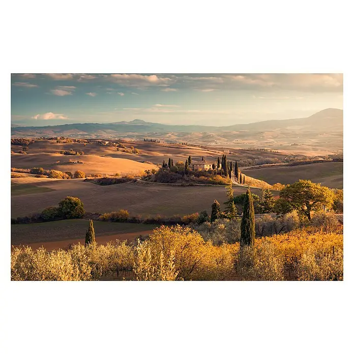 Komar Pure Fototapete Toskanagold - 4 -tlg., B x H: 400 x 250 cm, Vlies - Toskanische Landschaft mit goldenen Feldern und einem charmanten Bauernhaus im Herzen der malerischen Hügel.