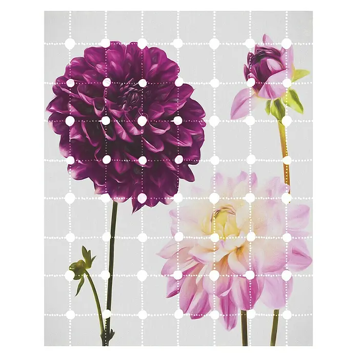 Komar Infinity Fototapete Flowers & Dots - 2 -tlg., B x H: 200 x 250 cm, Vlies - Kunstvolles Dahlienmuster mit violetten und rosa Blüten, überlagert von einem weißen Punktmuster für einen modernen Touch.