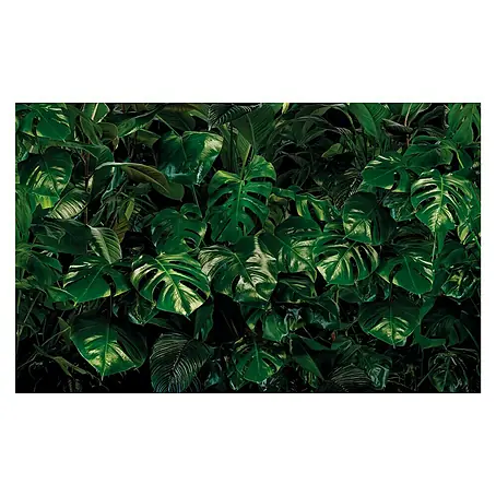 Komar Pure Fototapete Tropical Wall
