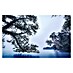 Komar Stefan Hefele Edition 1 Fototapete Blue Waters 