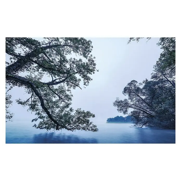 Komar Stefan Hefele Edition 1 Fototapete Blue Waters - 4 -tlg., B x H: 400 x 250 cm, Vlies - Nebelverhangener See mit überhängenden Bäumen, die eine ruhige, fast mystische Atmosphäre schaffen.