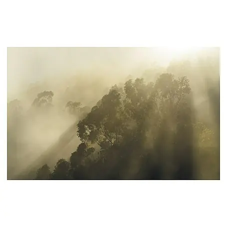 Komar Stefan Hefele Edition 1 Fototapete Misty Mountain