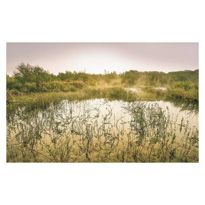Komar Stefan Hefele Edition 1 Fototapete Morning View II - 4 -tlg., B x H: 400 x 250 cm, Vlies - Morgennebel über einem friedlichen See, umgeben von üppiger Vegetation. Die Szene strahlt Ruhe und natürliche Schönheit aus.