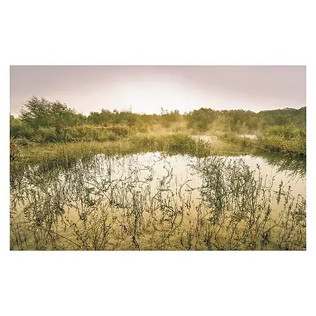 Komar Stefan Hefele Edition 1 Fototapete Morning View II