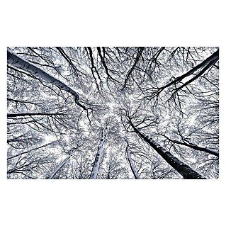 Komar Stefan Hefele Edition 1 Fototapete Up (4 -tlg., B x H: 400 x 250 cm, Vlies)