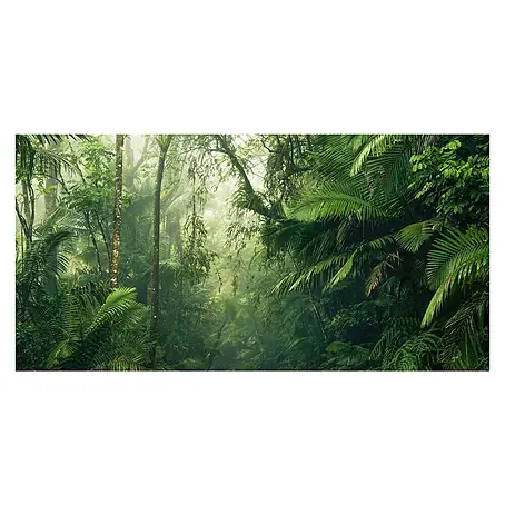Komar Pure Fototapete Tropenwelten
