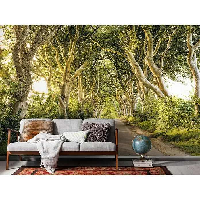 Komar Stefan Hefele Edition 1 Fototapete Golden Hedges - 4 -tlg., B x H: 400 x 250 cm, Vlies - Fototapete mit einem Weg durch eine Baumallee, die eine natürliche und friedliche Atmosphäre in jeden Raum bringt.