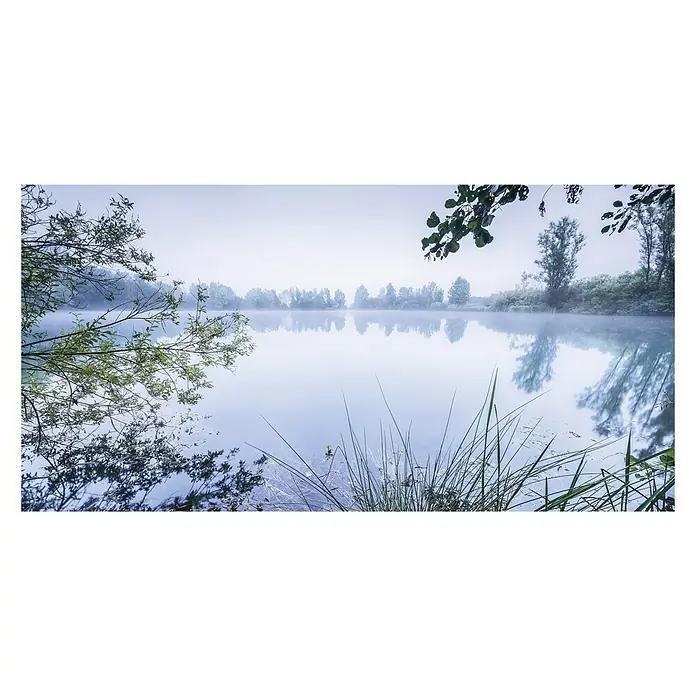 Komar Stefan Hefele Edition 1 Fototapete Morning View - 1 -tlg., B x H: 200 x 100 cm, Vlies - Nebel liegt über einem ruhigen See, umrahmt von Bäumen und Gräsern, die eine friedliche, natürliche Szene zeigen.