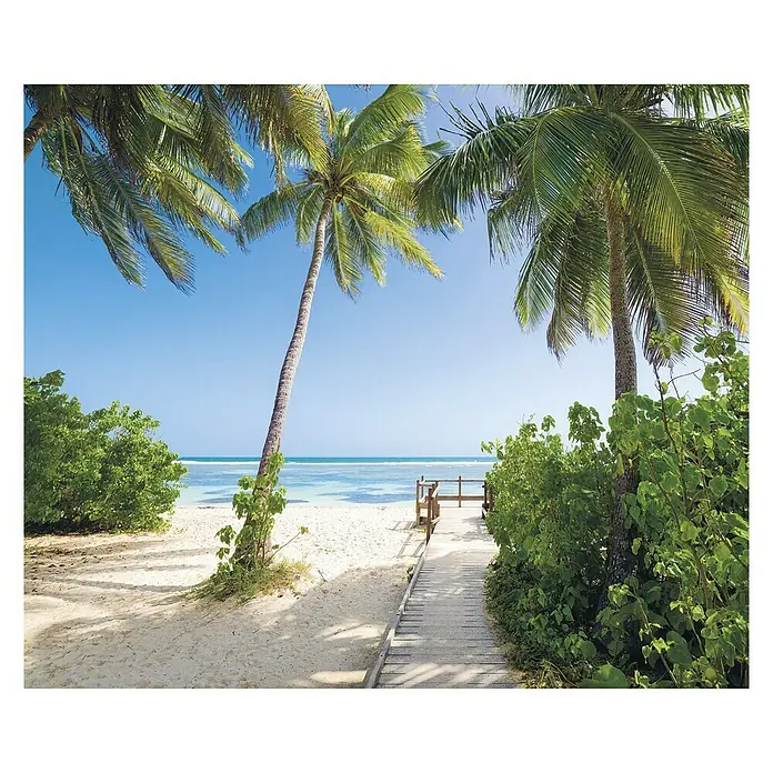 Komar Stefan Hefele Edition 1 Fototapete Palmy Beach - 3 -tlg., B x H: 300 x 250 cm, Vlies - Einladender Strandweg führt zu türkisblauem Wasser, gesäumt von Palmen und üppigem Grün, ein paradiesischer Rückzugsort.