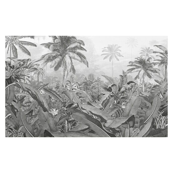 Komar Pure Fototapete Amazonia Black & White (4-tlg., 400 x 250 cm, Vlies)