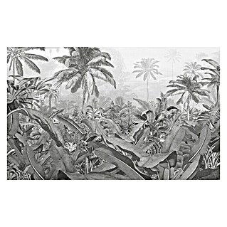 Komar Pure Fototapete Amazonia Black & White (4 -tlg., B x H: 400 x 250 cm, Vlies)