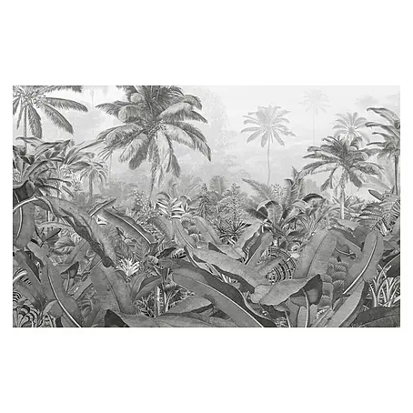 Komar Pure Fototapete Amazonia Black & White