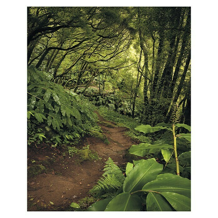 Komar Stefan Hefele Edition 1 Fototapete The Path (2 -tlg., B x H: 200 x 250 cm, Vlies)