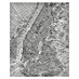 Komar Pure Fototapete NYC Map 