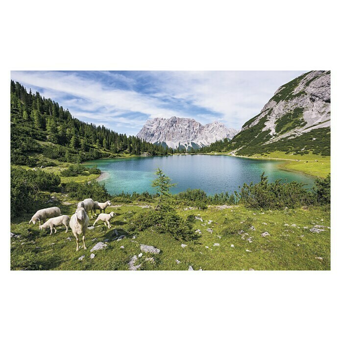 Komar Stefan Hefele Edition 1 Fototapete Paradise Lake (4-tlg., 400 x 250 cm, Vlies)