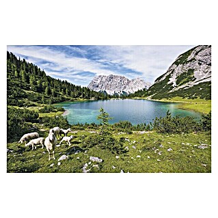 Komar Stefan Hefele Edition 1 Fototapete Paradise Lake (4 -tlg., B x H: 400 x 250 cm, Vlies)