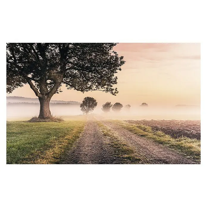 Komar Stefan Hefele Edition 1 Fototapete Misty Morning - 4 -tlg., B x H: 400 x 250 cm, Vlies - Eine malerische Landschaft mit einem Weg, der durch Nebel führt, gesäumt von einem Baum und Feldern, die eine friedliche Atmosphäre schaffen.
