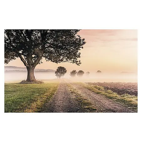 Komar Stefan Hefele Edition 1 Fototapete Misty Morning