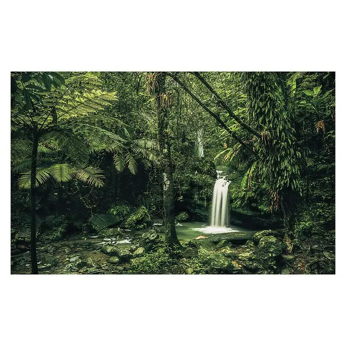 Komar Stefan Hefele Edition 1 Fototapete My Hidden Treasure - 4 -tlg., B x H: 400 x 250 cm, Vlies - Üppiger Dschungel mit Wasserfall, der sich in einen ruhigen Teich ergießt, umgeben von üppigem Grün und Moos bedeckten Felsen.