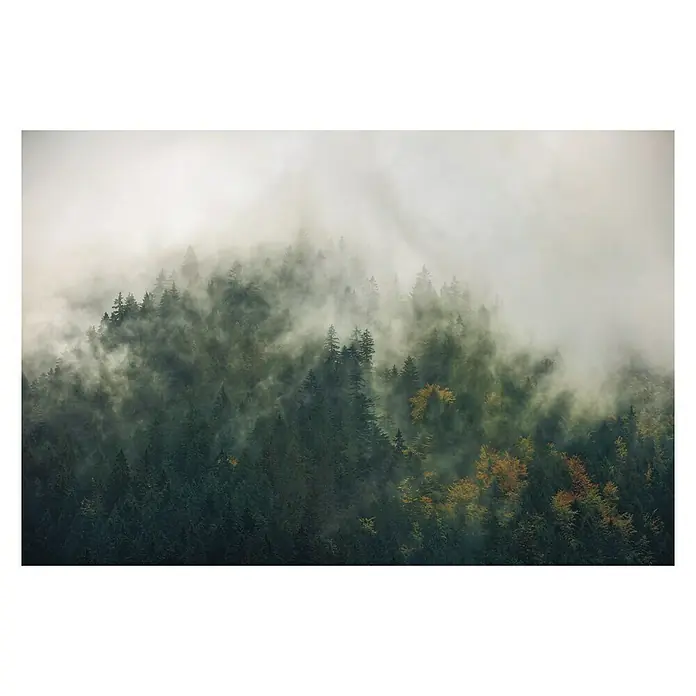 Komar Stefan Hefele Edition 1 Fototapete Tales of the Carpathians - 3 -tlg., B x H: 300 x 200 cm, Vlies - Mystischer Wald: Nebelverhangene Baumwipfel in dunklen Grün- und Gelbtönen erzeugen eine geheimnisvolle Waldlandschaft.