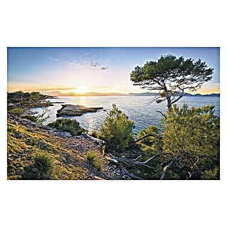 Komar Stefan Hefele Edition 1 Fototapete Southern Light (4 -tlg., B x H: 400 x 250 cm, Vlies)