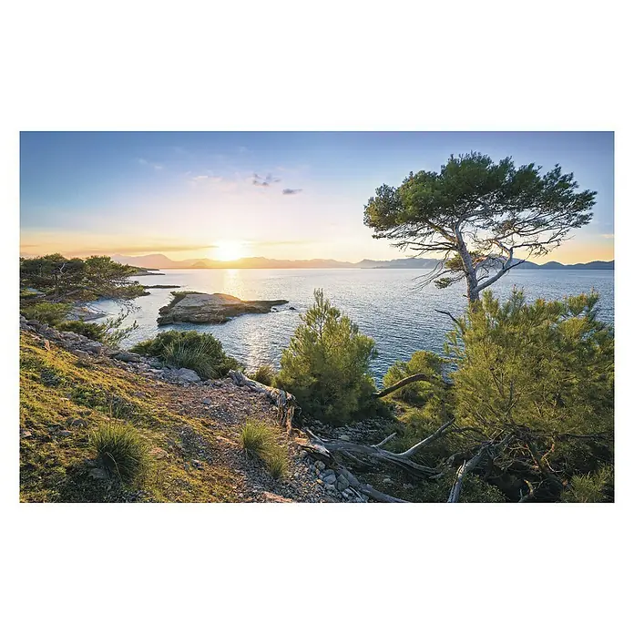 Komar Stefan Hefele Edition 1 Fototapete Southern Light - 4 -tlg., B x H: 400 x 250 cm, Vlies - Küstenlandschaft mit Bäumen und Felsen bei Sonnenuntergang, warmes Licht betont die natürliche Schönheit der Szene.