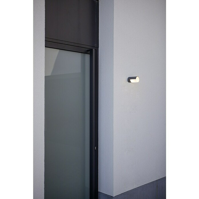 Lutec Plafón LED redondo Cyra (Blanco cálido, IP54) | BAUHAUS