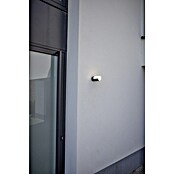 Lutec Plafón LED redondo Cyra (Blanco cálido, IP54) | BAUHAUS