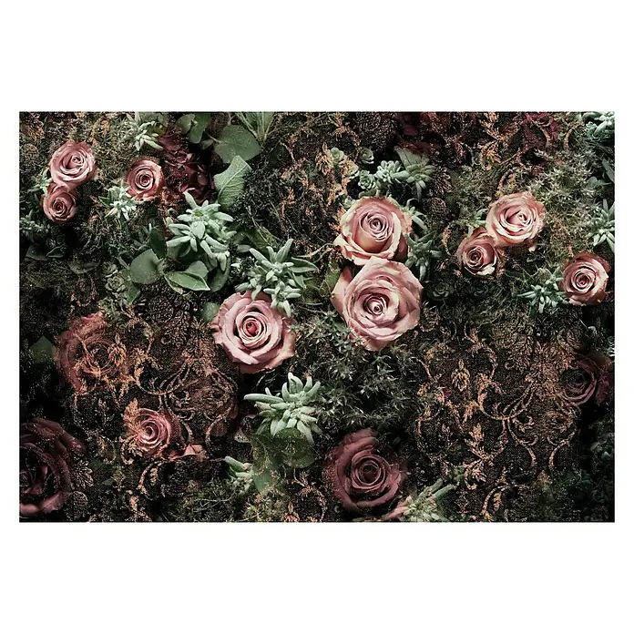 Komar Imagine Edition 3 - Stories Fototapete Velvet - 8 -tlg., B x H: 368 x 254 cm, Papier - Ein Arrangement aus rosafarbenen Rosen und grünen Sukkulenten, eingebettet in ein dunkles, ornamentales Muster. Elegant und stilvoll.