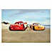 Komar Disney Edition 4 Fototapete Cars Beach Race 