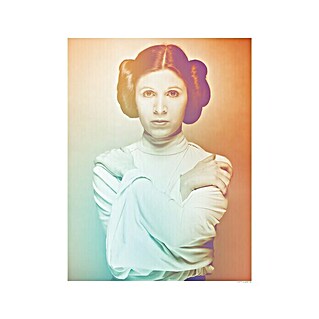 Komar Star Wars Poster Icons Color Leia (Disney, B x H: 30 x 40 cm)