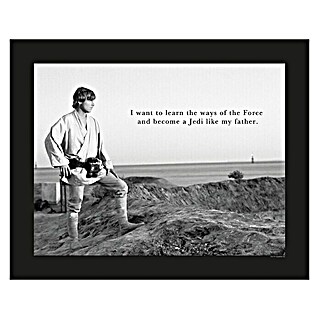 Komar Star Wars Poster Luke Quote (Disney, B x H: 40 x 30 cm)