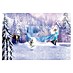 Komar Disney Edition 4 Fototapete Frozen Forest 