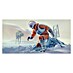 Komar Star Wars Fototapete Hoth Battle Pilot 