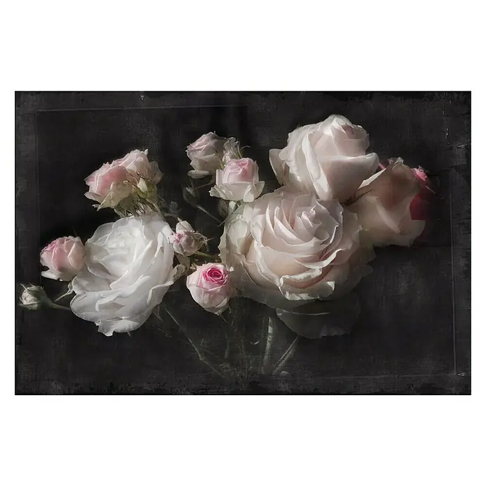 Komar Imagine Edition 3 - Stories Fototapete Eternity - 4 -tlg., B x H: 254 x 184 cm, Papier - Zartrosa Rosenblüten in einem Arrangement, das die sanften Farbtöne und die Textur der Blütenblätter hervorhebt.