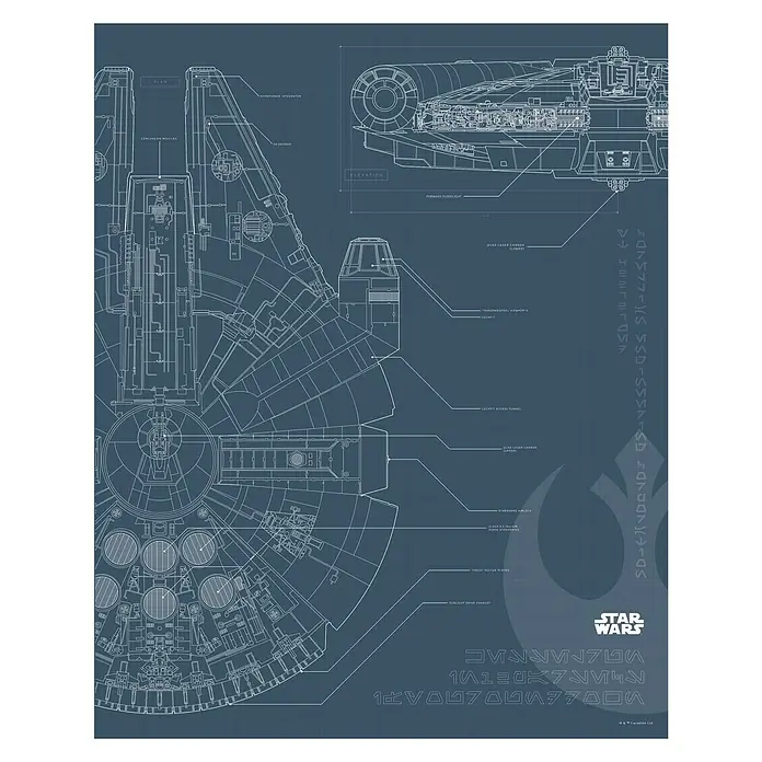 Komar Star Wars Poster Blueprint Falcon - Star Wars, B x H: 30 x 40 cm - Bauplan der Millennium Falke, Star Wars. Detaillierte Illustration des legendären Raumschiffs in Blau auf dunklem Hintergrund.