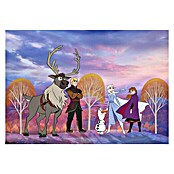 Komar Disney Edition 4 Fototapete Frozen Autumn Forest (400 x 280 cm, Vlies)