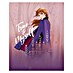 Komar Disney Edition 4 Poster Frozen Anna True To Myself 