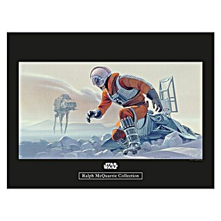 Komar Star Wars Poster RMQ Hoth Battle Pilot (Star Wars, B x H: 40 x 30 cm)