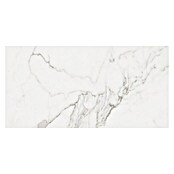 BHS Showroom Pavimento porcelánico Palatina Mate (60 x 120 cm, Blanco)
