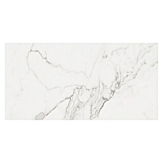 Pavimento porcelánico Palatina Mate (60 x 120 cm, Blanco Carrara, Mate)