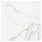 BHS Showroom Pavimento porcelánico Palatina Brillo (60 x 60 cm, Blanco)