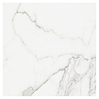 BHS Showroom Pavimento porcelánico Palatina Brillo (60 x 60 cm, Blanco Carrara, Brillante)