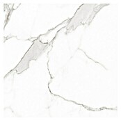 BHS Showroom Pavimento porcelánico Palatina Pulido (120 x 120 cm, Blanco)