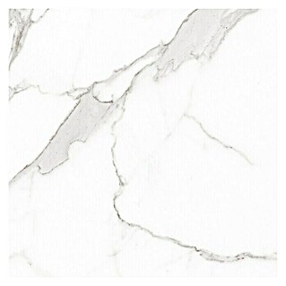 BHS Showroom Pavimento porcelánico Palatina Pulido (120 x 120 cm, Blanco Carrara)