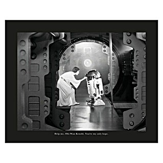 Komar Star Wars Poster Leia R2D2 Quote (Star Wars, B x H: 40 x 30 cm)