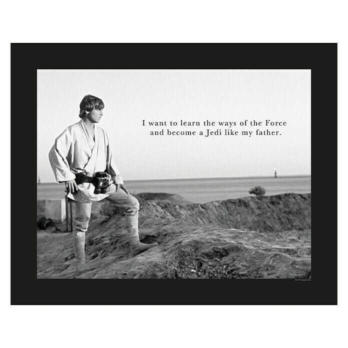 Komar Star Wars Wandbild Luke Quote (50 x 40 cm, Vlies)