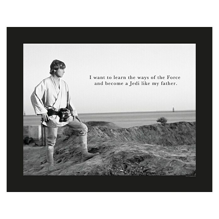 Komar Star Wars Poster Luke QuoteStar Wars, B x H: 50 x 40 cm Front View