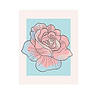 Komar Disney Edition 4 Poster Cinderella Rose (Disney, B x H: 50 x 70 cm)